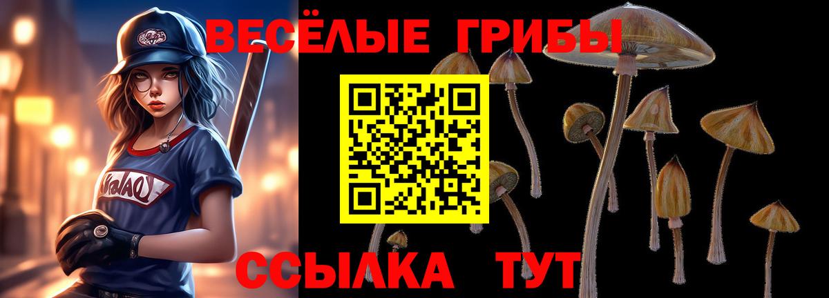 Галлюциногенные грибы Cubensis Можга