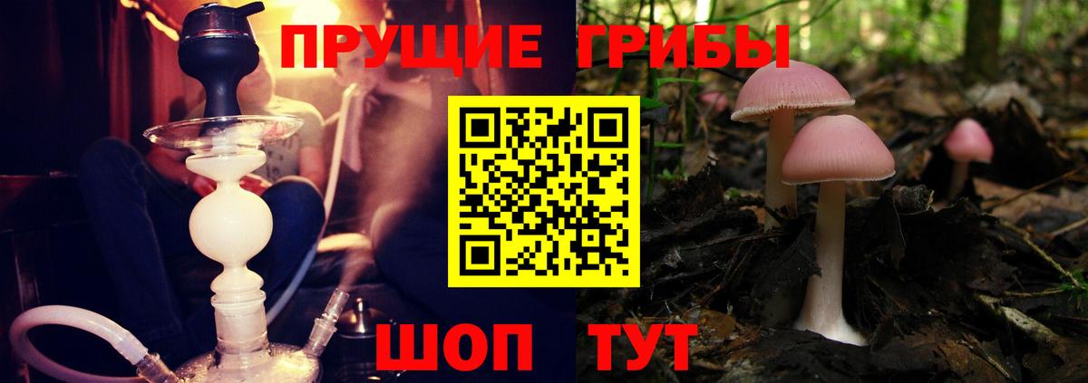 Псилоцибиновые грибы Psilocybine cubensis  Вход с VPN  дарнет шоп  Можга  Галлюциногенные грибы Psilocybe 